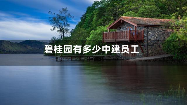 碧桂园有多少中建员工
