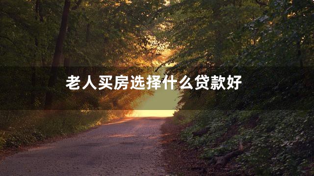 老人买房选择什么贷款好