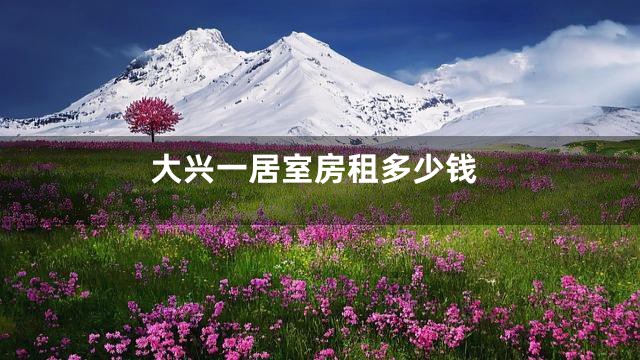 大兴一居室房租多少钱