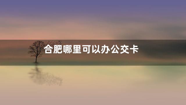 合肥哪里可以办公交卡