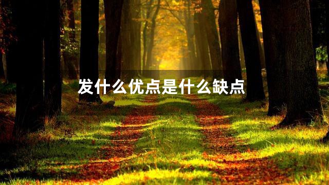 发什么优点是什么缺点