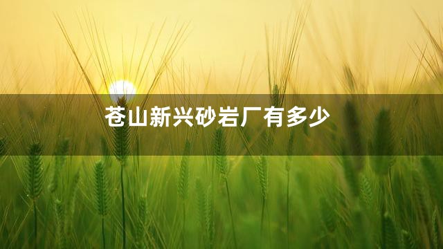 苍山新兴砂岩厂有多少