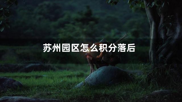 苏州园区怎么积分落后