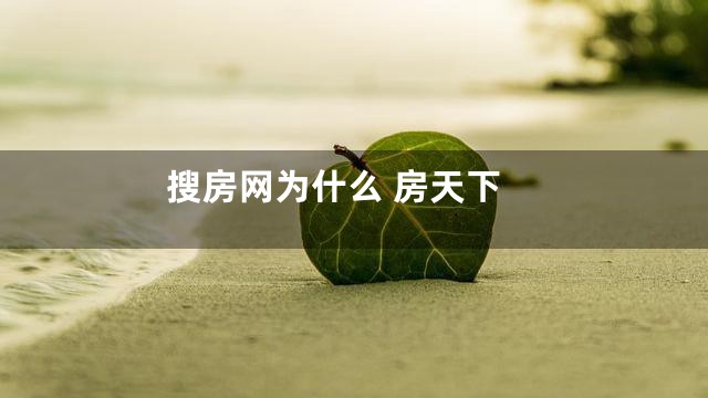 搜房网为什么 房天下