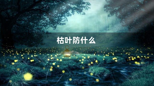 枯叶防什么