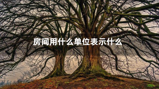 房间用什么单位表示什么