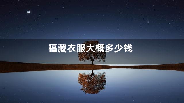福藏衣服大概多少钱