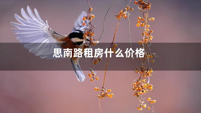 思南路租房什么价格