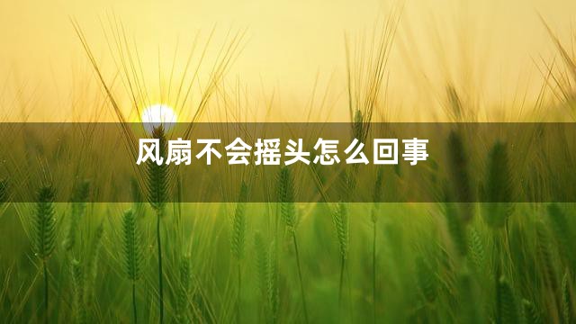 风扇不会摇头怎么回事