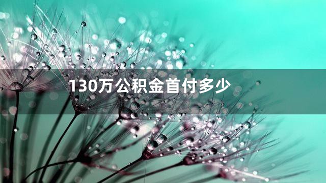 130万公积金首付多少