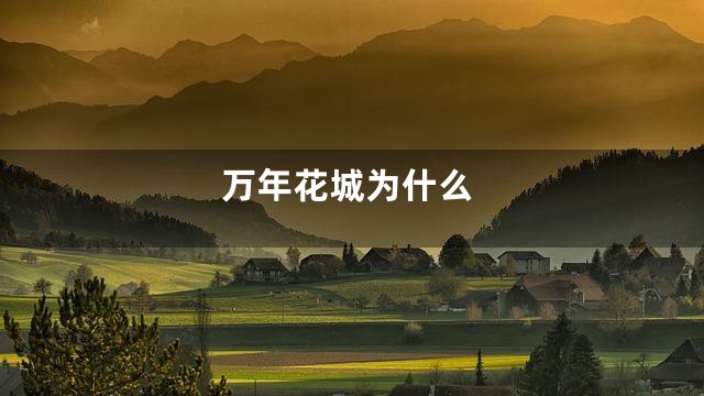 万年花城为什么