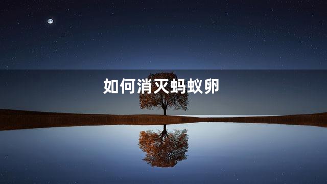 如何消灭蚂蚁卵