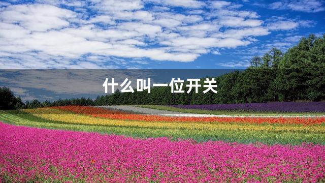 什么叫一位开关