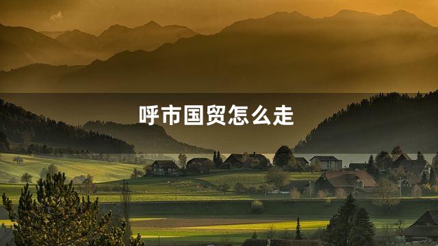 呼市国贸怎么走