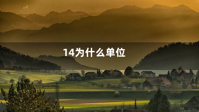 14为什么单位