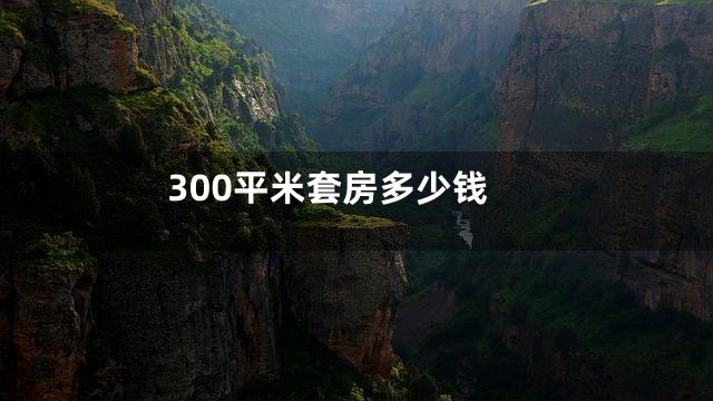 300平米套房多少钱