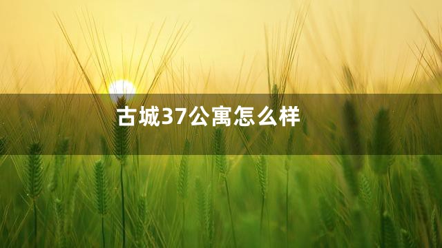古城37公寓怎么样