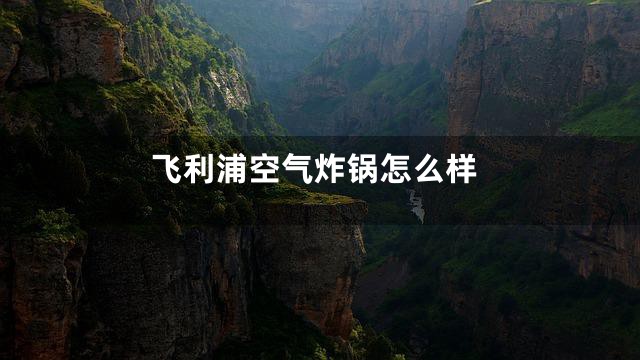 飞利浦空气炸锅怎么样