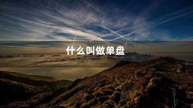 什么叫做单盘
