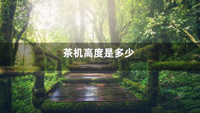 茶机高度是多少