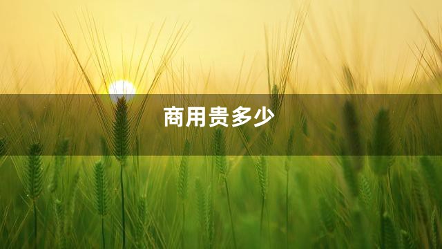 商用贵多少