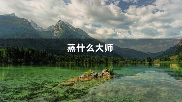 蒸什么大师