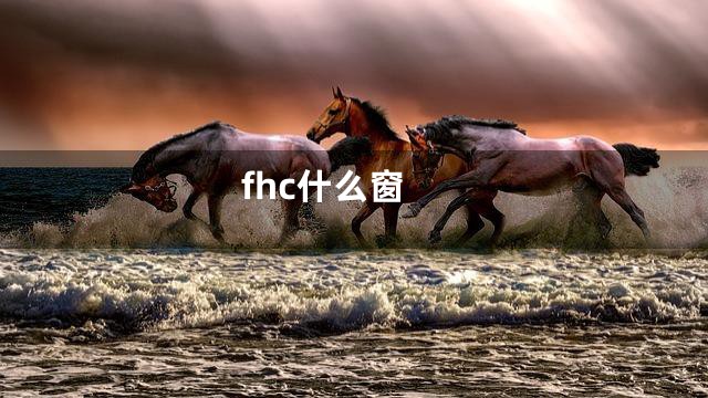 fhc什么窗