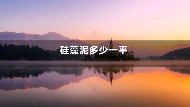 硅藻泥多少一平