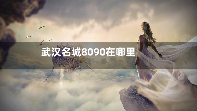 武汉名城8090在哪里