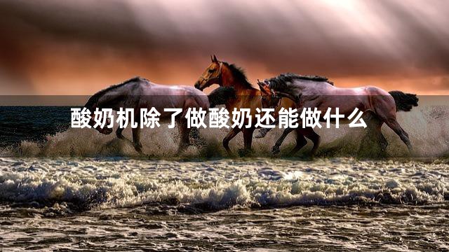 酸奶机除了做酸奶还能做什么