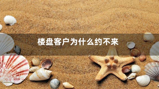 楼盘客户为什么约不来