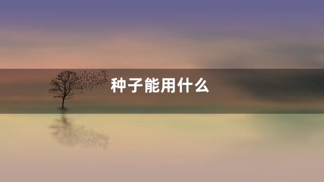 种子能用什么