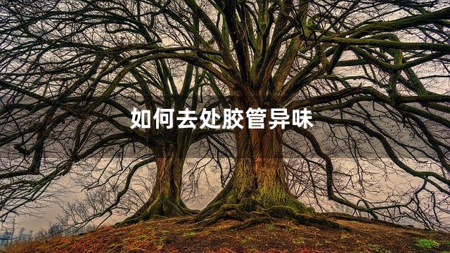 如何去处胶管异味