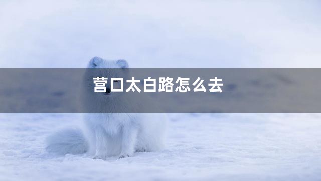 营口太白路怎么去