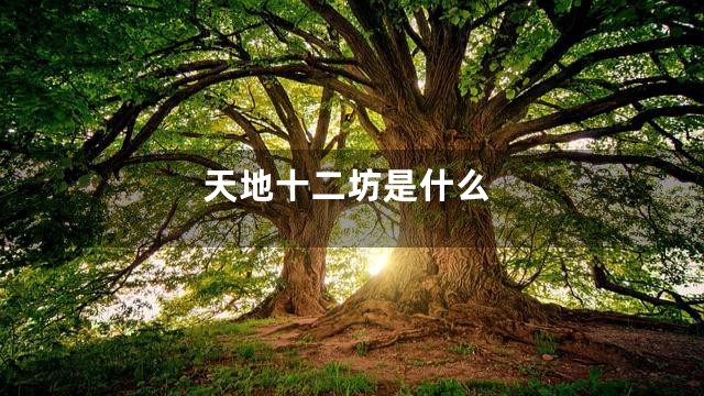 天地十二坊是什么