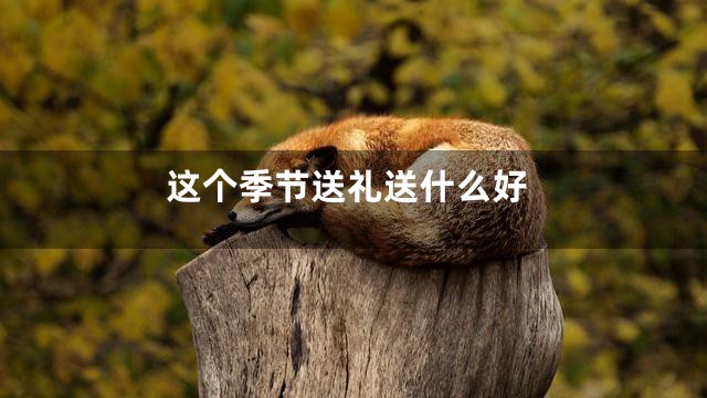 这个季节送礼送什么好