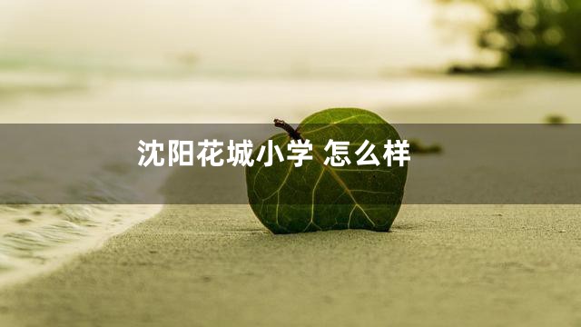 沈阳花城小学 怎么样