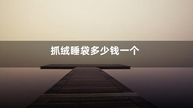 抓绒睡袋多少钱一个