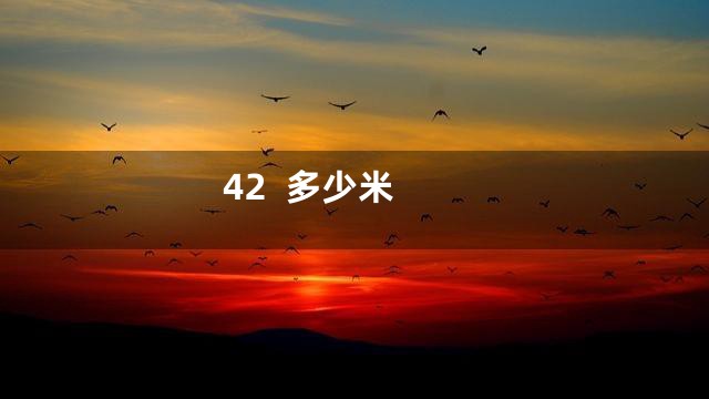 42  多少米