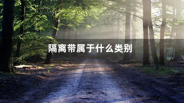 隔离带属于什么类别