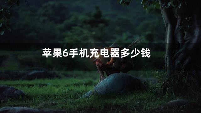 苹果6手机充电器多少钱