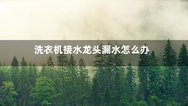 洗衣机接水龙头漏水怎么办