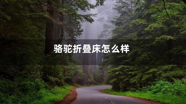 骆驼折叠床怎么样