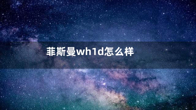 菲斯曼wh1d怎么样