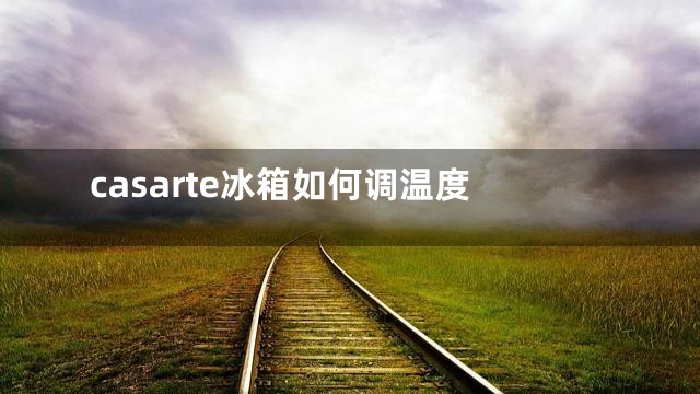 casarte冰箱如何调温度