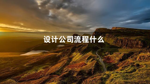 设计公司流程什么