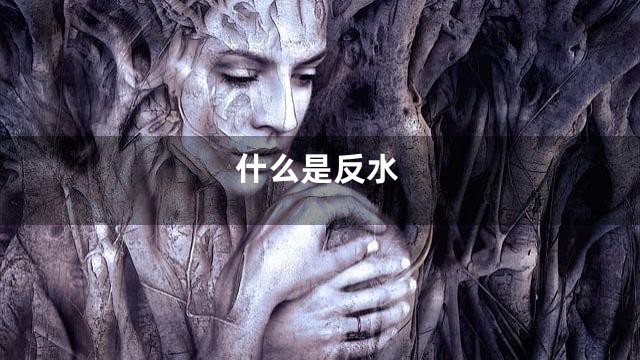 什么是反水