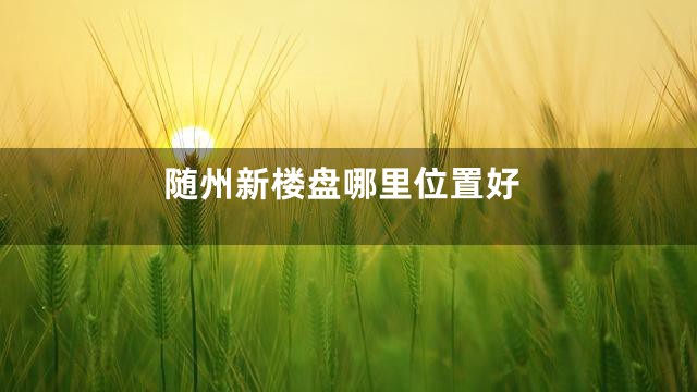 随州新楼盘哪里位置好