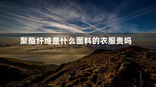 聚酯纤维是什么面料的衣服贵吗