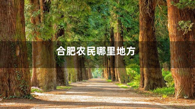 合肥农民哪里地方